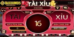 Cách chơi tài xỉu MD5