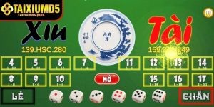 Có nên tin kinh nghiệm tài xỉu md5