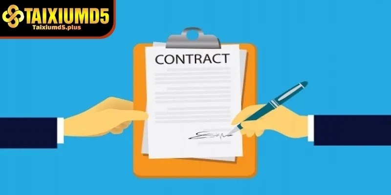 Nhiều người có thói quen đăng ký nhanh mà không đọc kỹ các quy định đi kèm