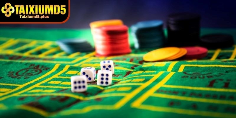 Cách kinh nghiệm chơi tài xỉu md5 dành cho người mới