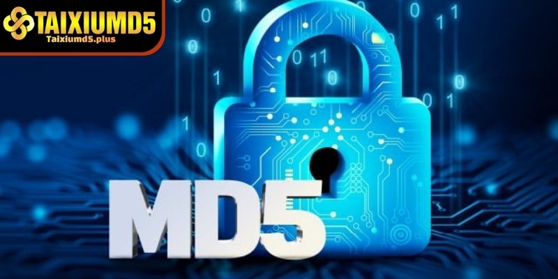 Tìm hiểu về câu hỏi MD5 có giúp thắng tài xỉu không