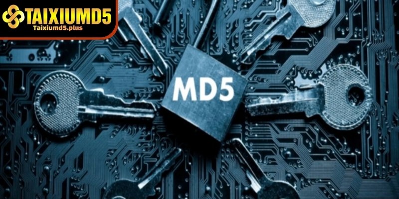 Khám phá nguyên lý hoạt động của MD5 có giúp thắng tài xỉu không