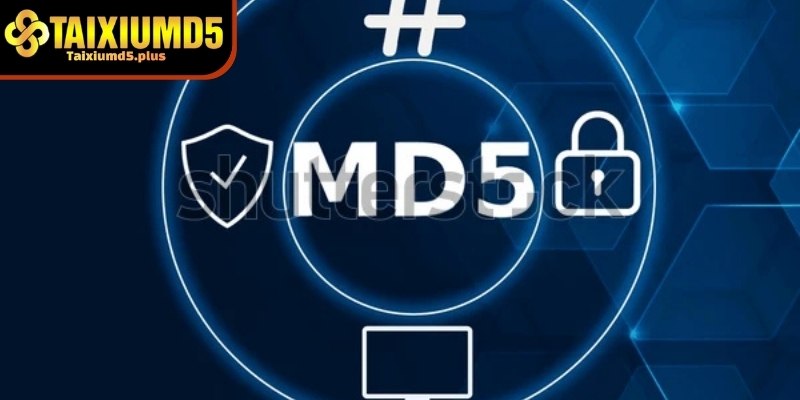 Tìm hiểu về MD5 có giúp thắng tài xỉu không dành cho người mới
