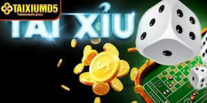 Nên chơi tài xỉu md5 hay không