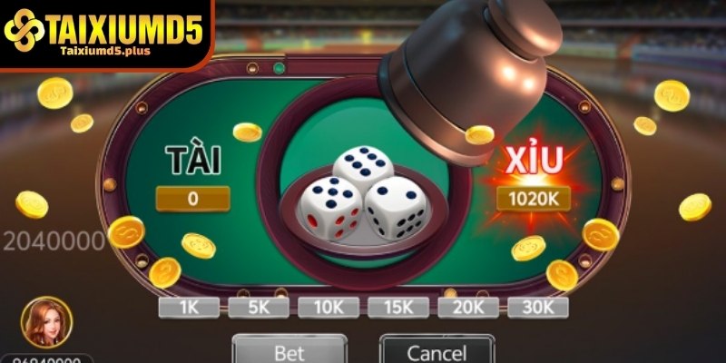 Tìm hiểu lý do tại sao nhiều người thua khi chơi md5