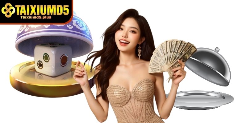 Giới thiệu về thương hiệu tài xỉu md5 thu hút người chơi hiện nay