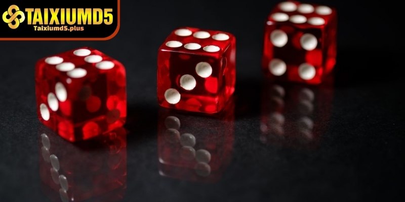 Thuật toán MD5 là gì